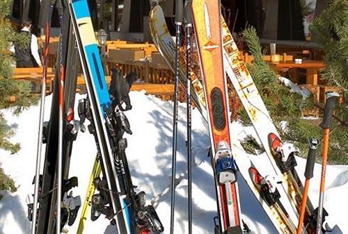 Lodge Alpina Grimentz